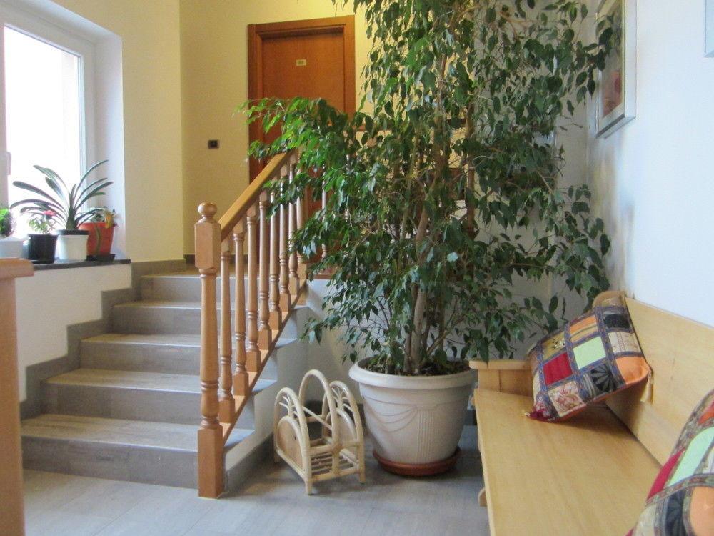 Albergo La Veranda Tavarone Εξωτερικό φωτογραφία